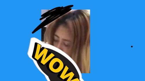 PELAN PELANN