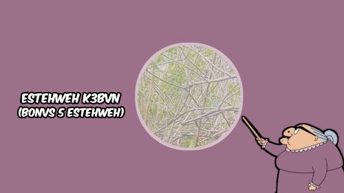 ESTEHWEH K3BVNN