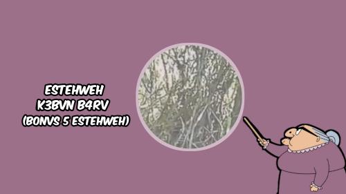 ESTEHWEH K3BVN B4RV