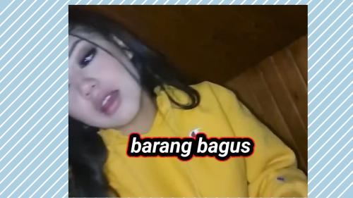 Barang bagus