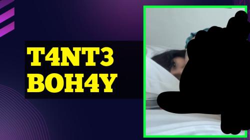 T4NT3 boh4y