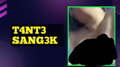 T4nt3 sang3