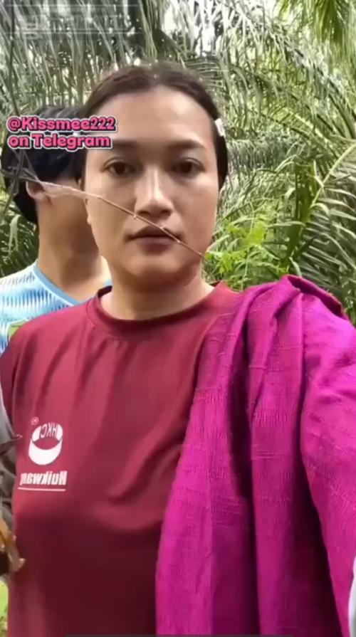 Binor dikebun sawit