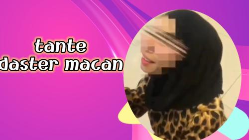 Tante daster macan