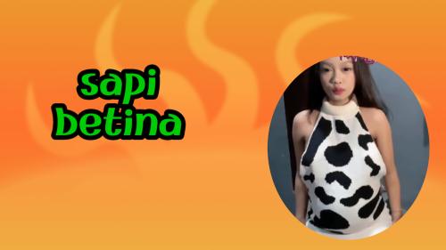 Sapi betina