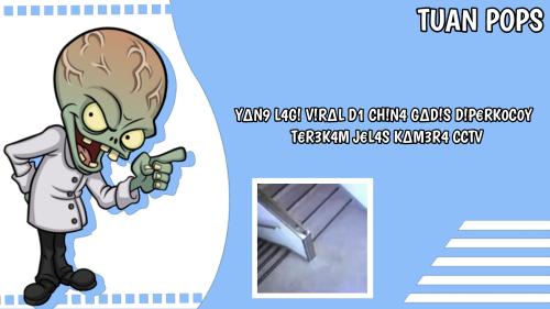 cctv