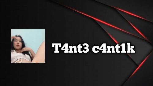 T4nt3 c4nt1k