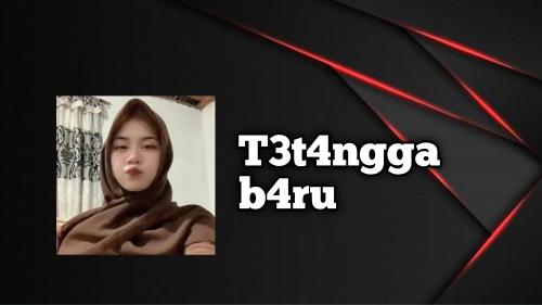 Tetangga b4rv