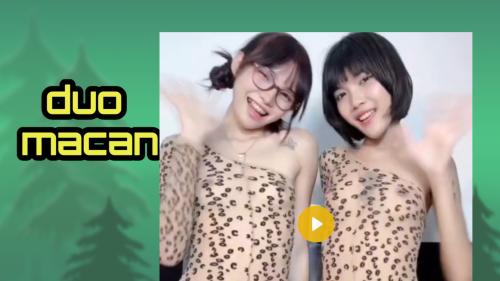 Duo macan