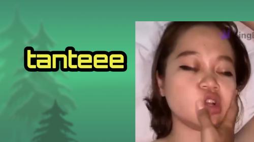 Tantee