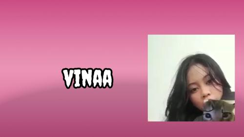 Vinaa