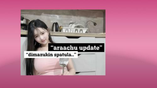 Arachu update
